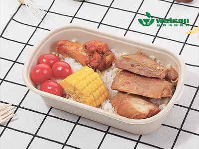 環保飯盒 環保飯盒